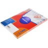 Этикетки самоклеящиеся синие Multilabel 210x297, 1 этикетка на листе (100 листов)